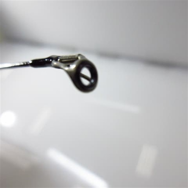 ２０月下美人７６ＬーＴ・Ｎ